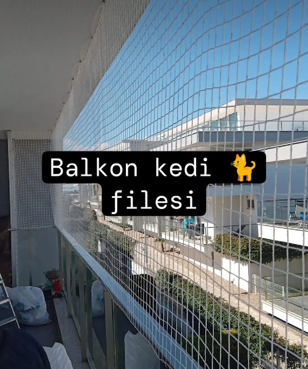 Miyav Kedi Filesi